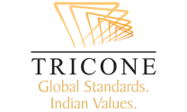 Tricone Projects India Limited